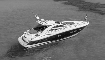 P53 For Sale image1
