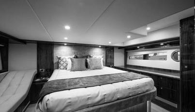 Greyhound For Sale image59