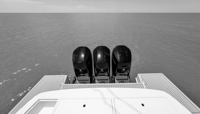 noname For Sale image16