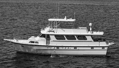 noname For Sale image8