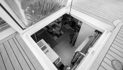 Enzo For Sale image108