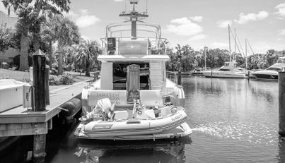 TANGERINE MOON For Sale image6