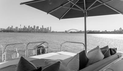 YOLO For Sale image19