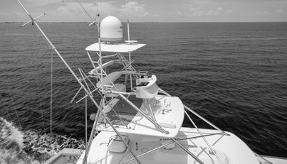 Reel Tycoon For Sale image59