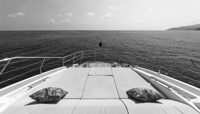 noname For Sale image28