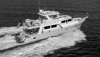 CARA MIA For Sale image55