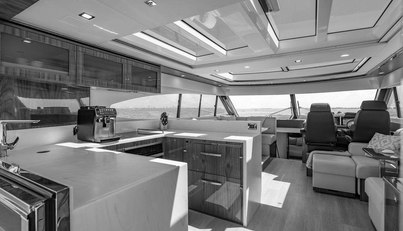 Bald Eagle For Sale image32