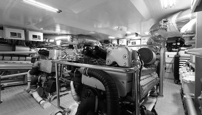 GOLDENEYE For Sale image33