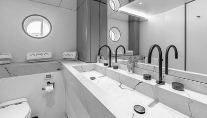 ARIA For Sale image23