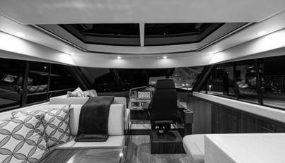 Greyhound For Sale image37