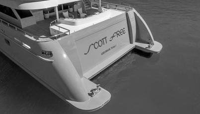 SCOTT FREE For Sale image45