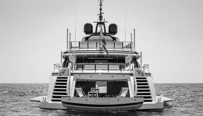 GOLDENEYE For Sale image43