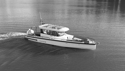 HAYLU For Sale image5