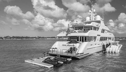 CARTE BLANCHE For Sale image6