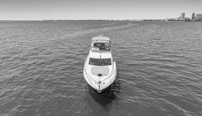 Cheers For Sale image65