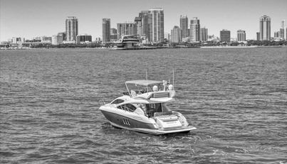 Cheers For Sale image8