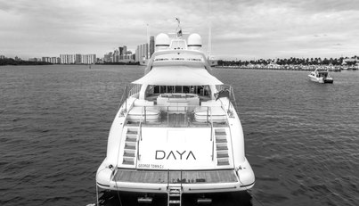 DAYA For Sale image13