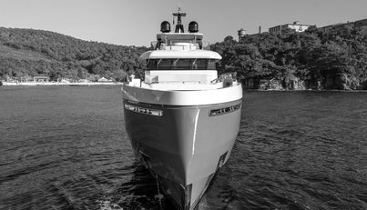 MERELEY I For Sale image68