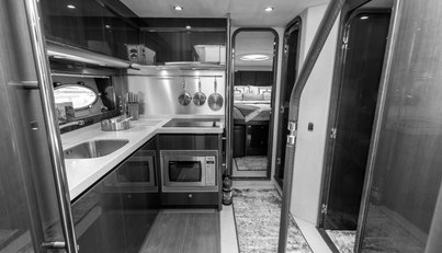 Enzo For Sale image41