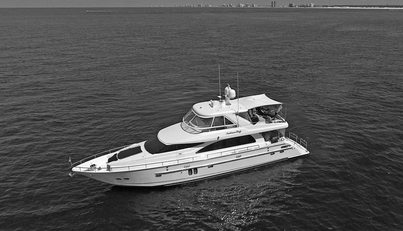 Southern Lady For Sale image3