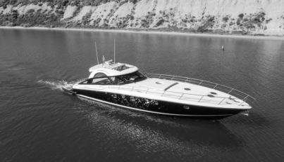 PARVINA For Sale image27