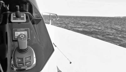 noname For Sale image22