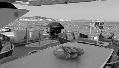 SURVIVOR 2 For Sale image30
