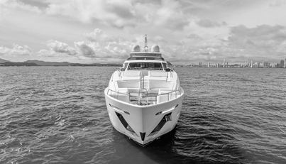 SHA SHA SHA IV For Sale image12