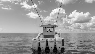 noname For Sale image15