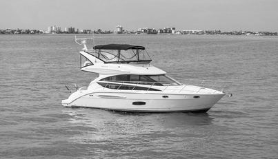 MR. BLUE SKY For Sale image1