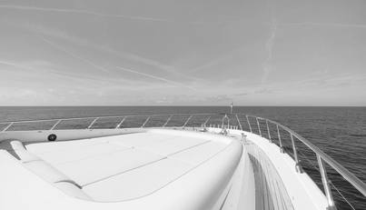 ROYALE X For Sale image28