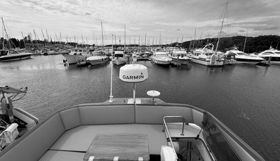 Roxy 2 For Sale image13