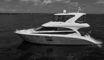 Gail’s Storm IV For Sale image1