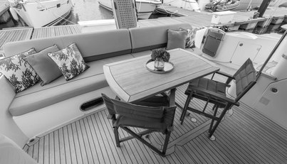 Enzo For Sale image42