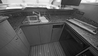Southern Lady For Sale image32