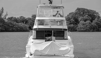 noname For Sale image6