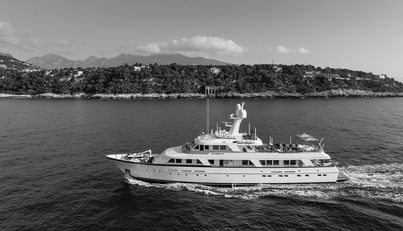 SYNTHESIS 66 For Sale image47