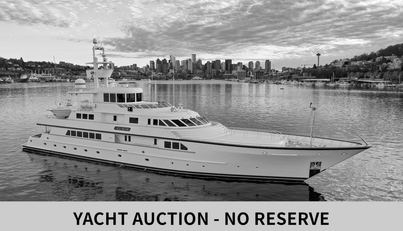ICE BEAR For Sale image1