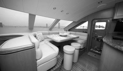 Southern Lady For Sale image39