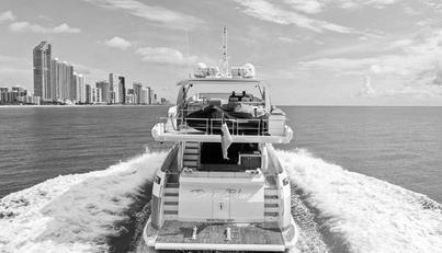 Deep Blue For Sale image14