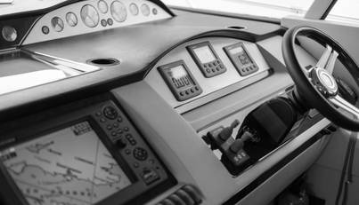 Enzo For Sale image69