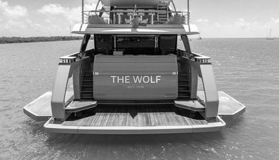 THE WOLF For Sale image16