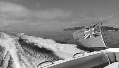 noname For Sale image14