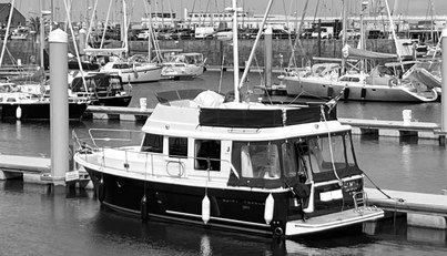 noname For Sale image20