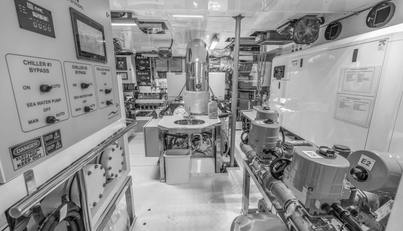 EVELYN P For Sale image86