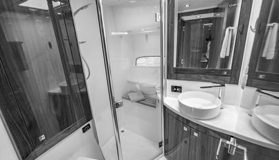 Bald Eagle For Sale image71