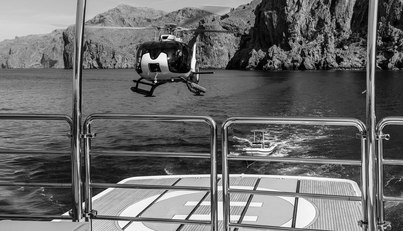 FLYING MANTA For Sale image23