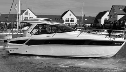 Knot Guilty For Sale image16