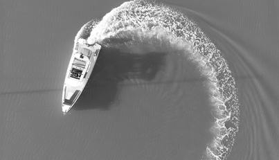 HAYLU For Sale image9