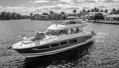 MISS ZOE For Sale image3